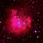 RCW 40